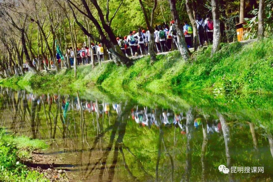 2018年云大附中呈贡高考喜报,云大附中呈贡校区2019高考喜报