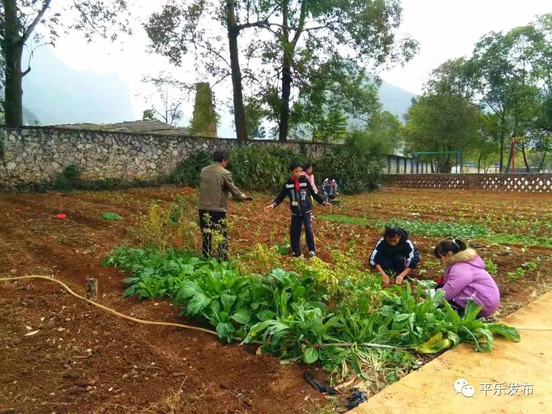桂林平乐二塘矮山小学,广西桂林平乐二塘高桥小学