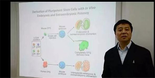 全世界第一例艾滋病治愈患者,人类医学史奇迹