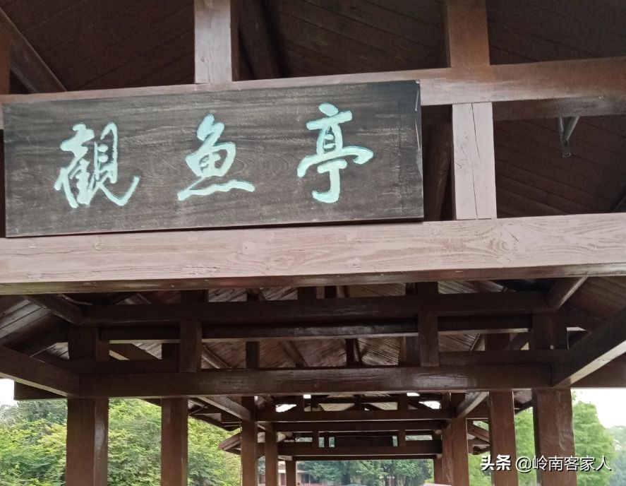 海珠湖公园和海珠湿地公园一样吗,海珠湖国家湿地公园开放时间