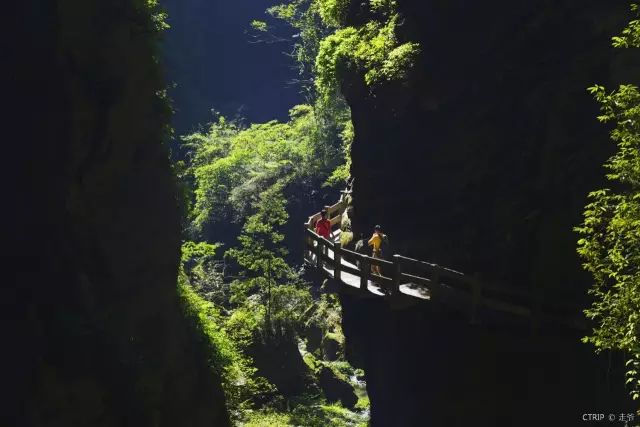 新晋热门旅游网红城市,网红城市游玩攻略