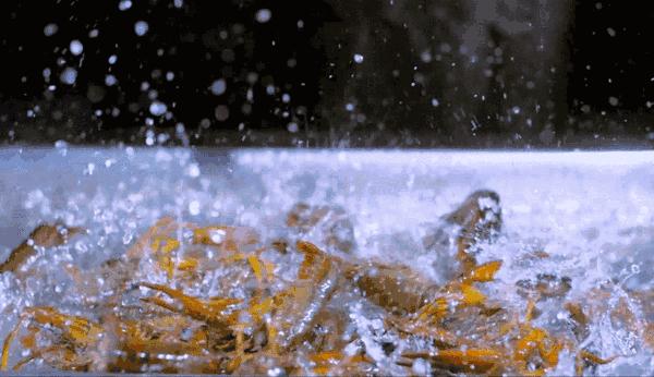 天津最适合旅游的小岛,不去景点北戴河怎么玩
