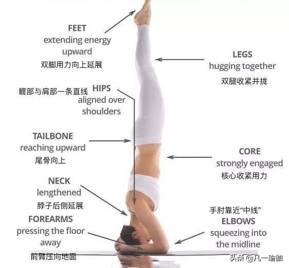 瑜伽练习的基本原则,瑜伽之光讲的什么