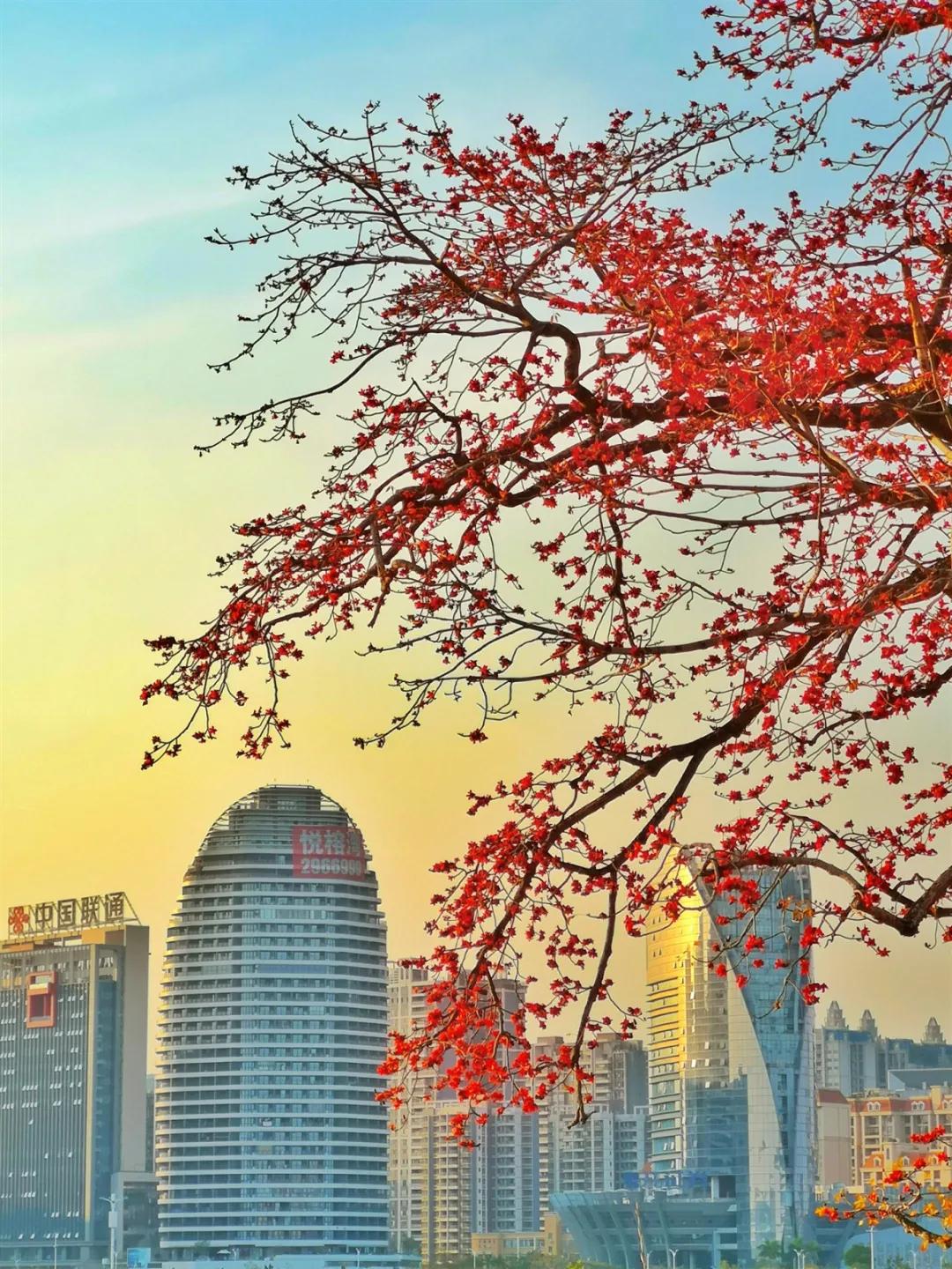 惠州亮灯为武汉加油,惠州武汉加油