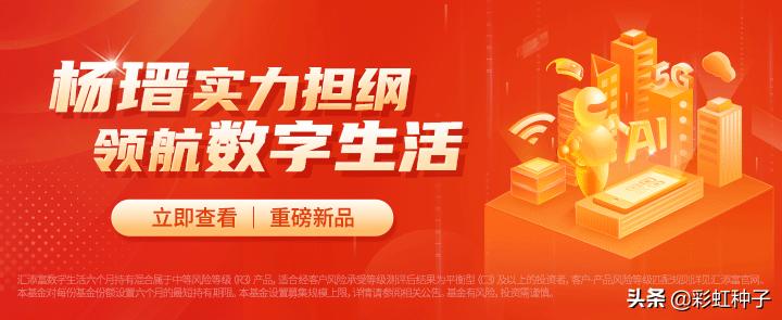 汇添富杨瑨怎么样知乎,汇添富杨瑨买什么股票