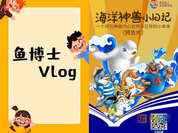 北京动物园海洋馆锦鲤,北京海洋馆锦鲤