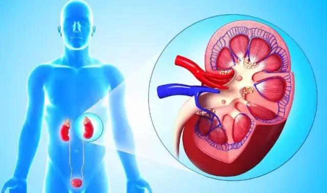 出汗感觉腰酸是怎么回事,腰疼肾虚力不从心