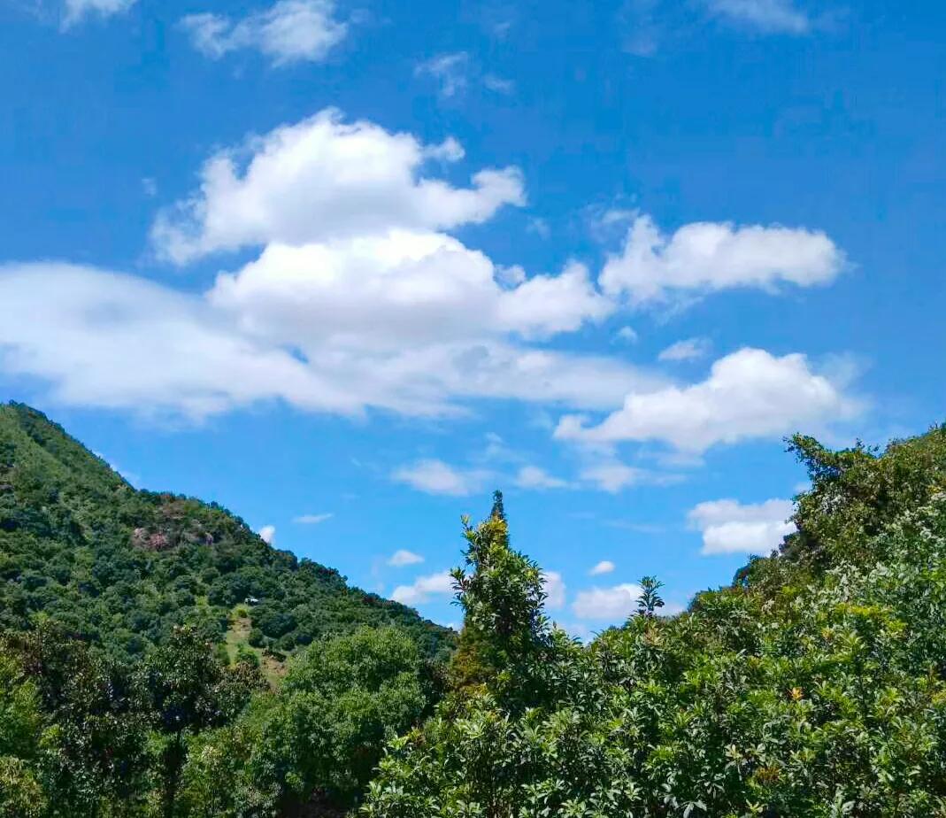 李白写景十大巅峰佳作,李白最经典的山水诗句