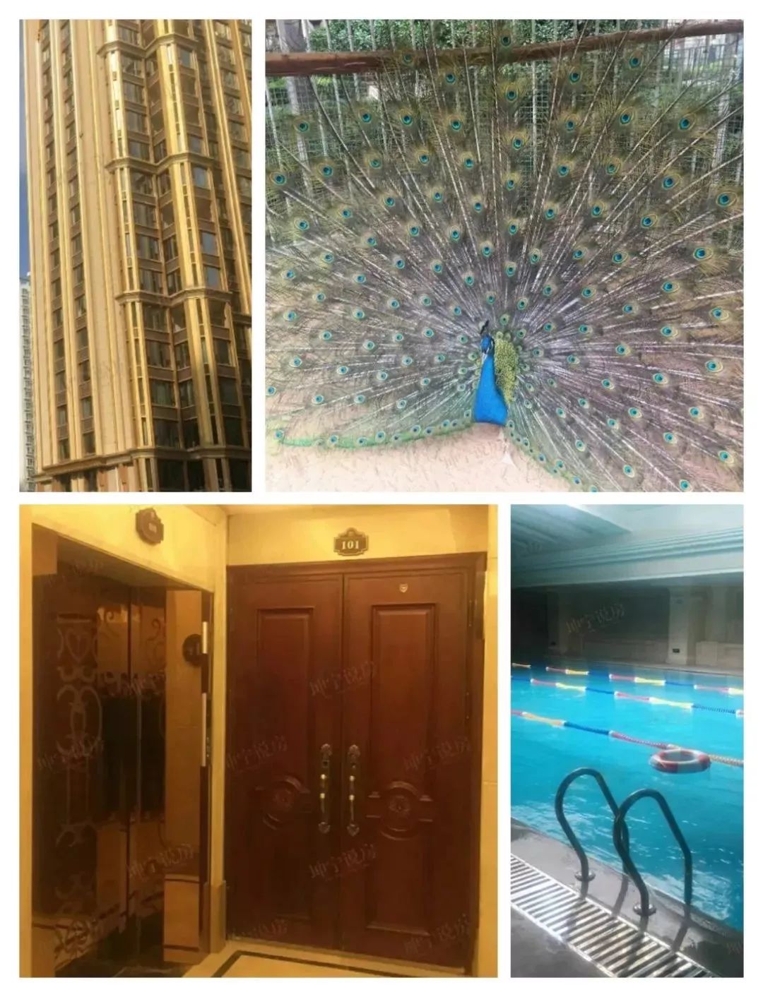 实探新楼市,坤宁说房值得买吗