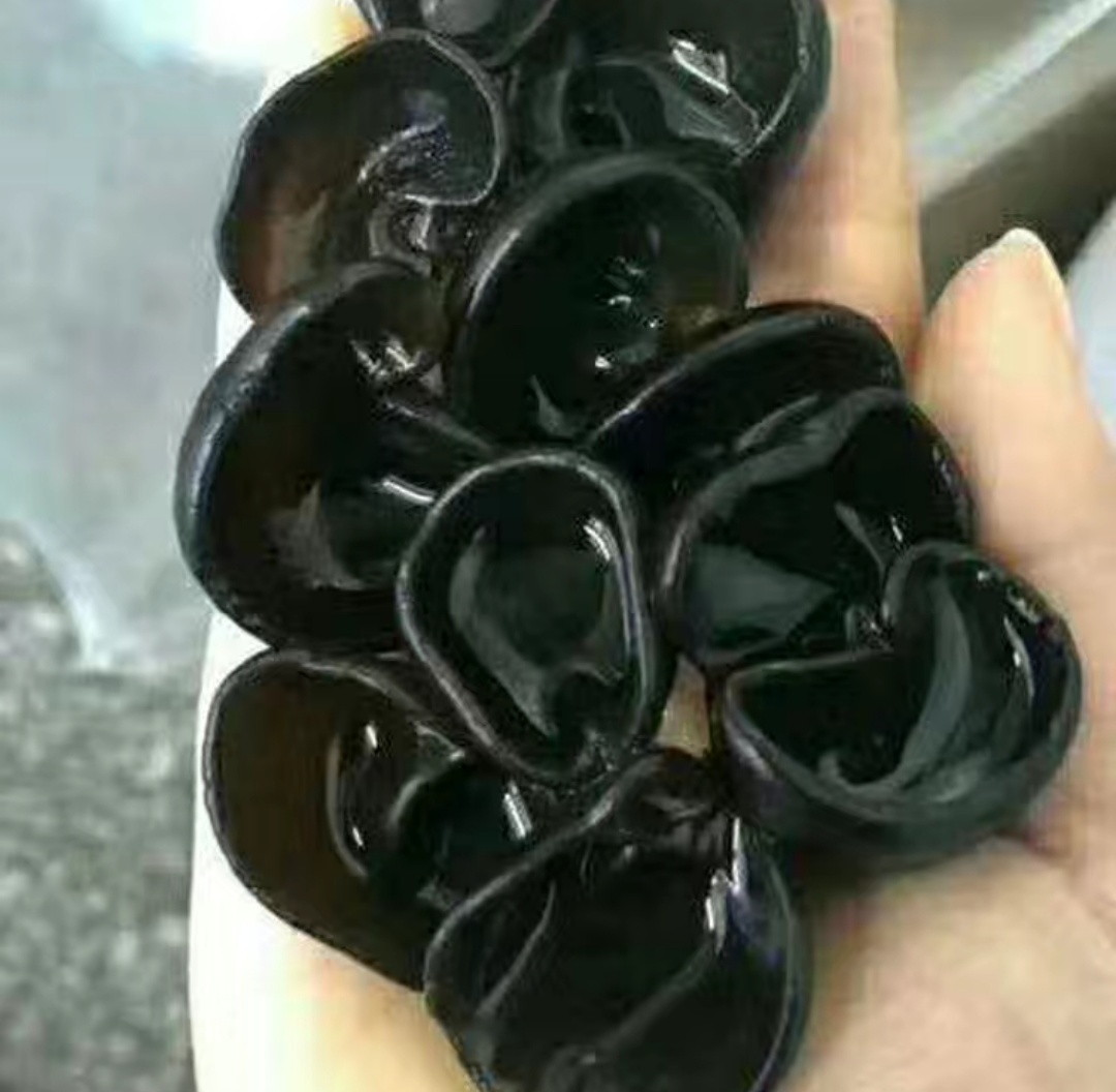 中国打造木耳之乡,中国木耳产地排行榜