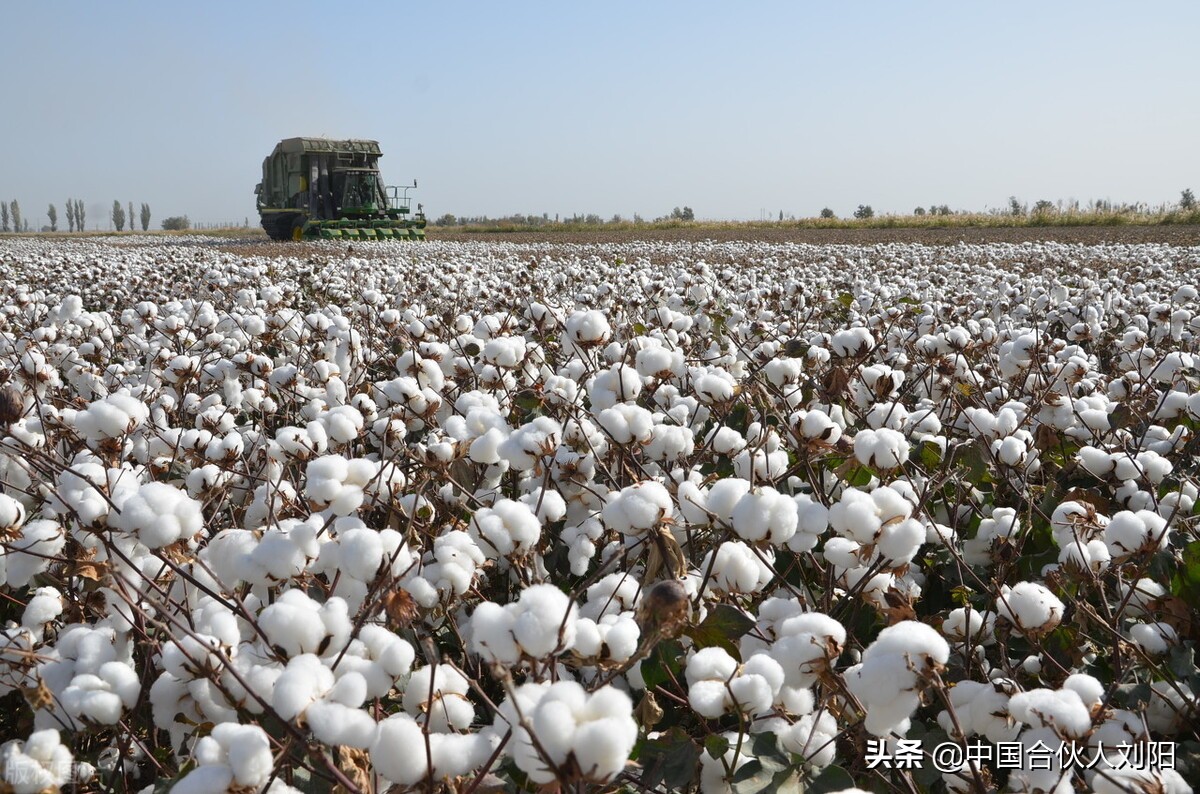 滴滴怎么给司机发工资,为什么有的滴滴会给司机底薪