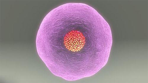 做试管婴儿之前感冒能吃感冒药吗,做试管婴儿前一个月感冒咳嗽