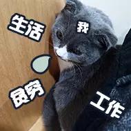 医院科室对比,哪个医院影像科最好