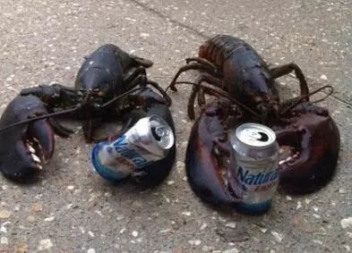 虽然她是在鄙视，不过我突然有了个大胆的想法