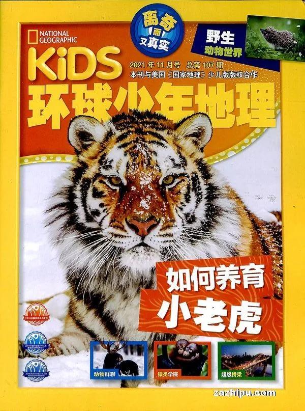 如何订购杂志更便宜一些,杂志怎么订阅最便宜的