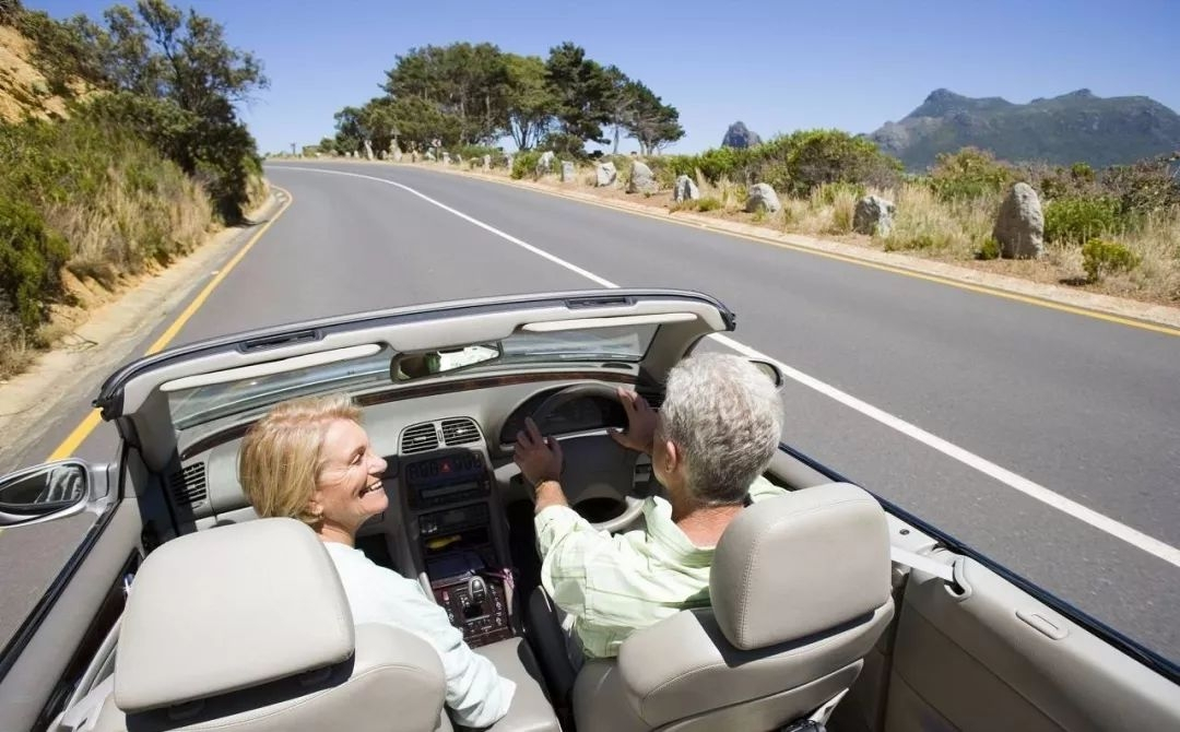 开车无意撞到了小动物该怎么处理,开车行驶撞到动物如何处理