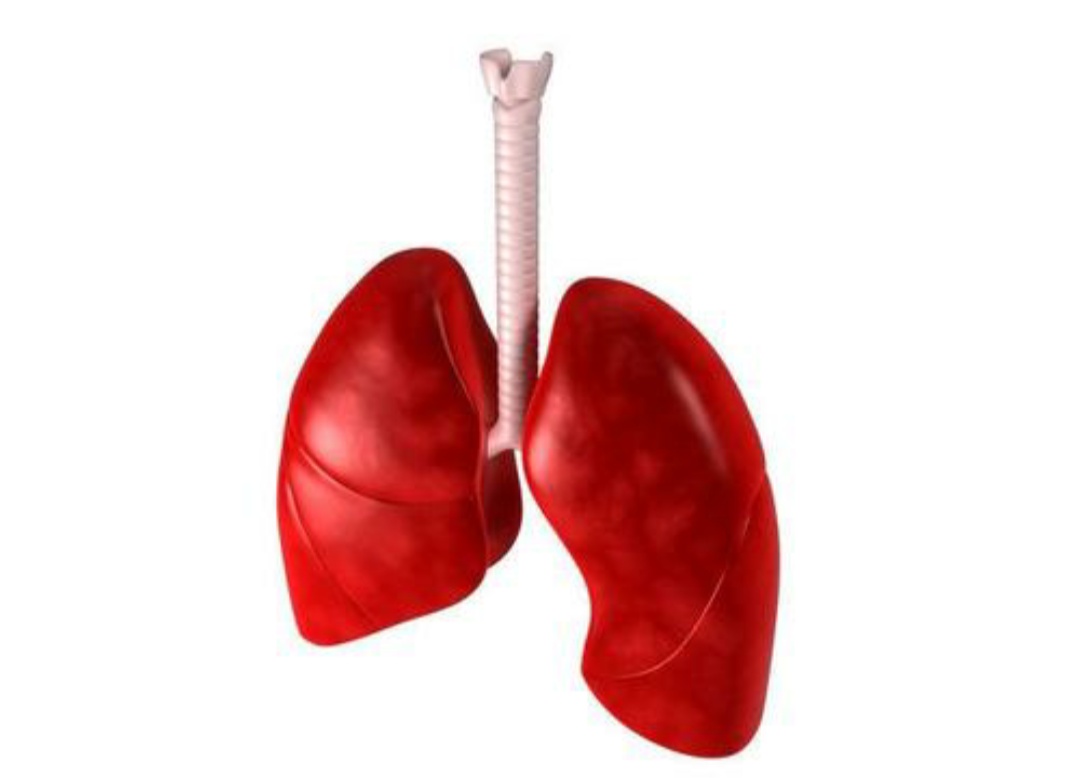 小儿肺栓塞的症状及治疗,儿童肺部血栓有什么好的治疗方法