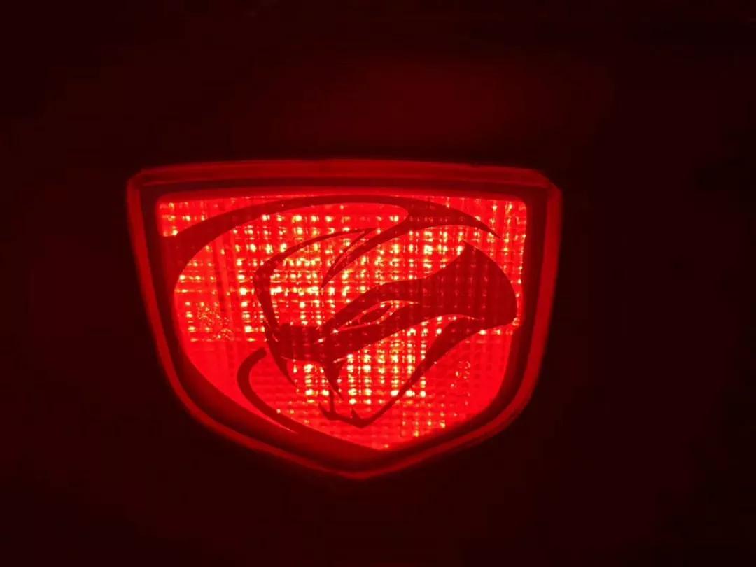 稀有蛇有哪些,道奇蝰蛇被称为什么