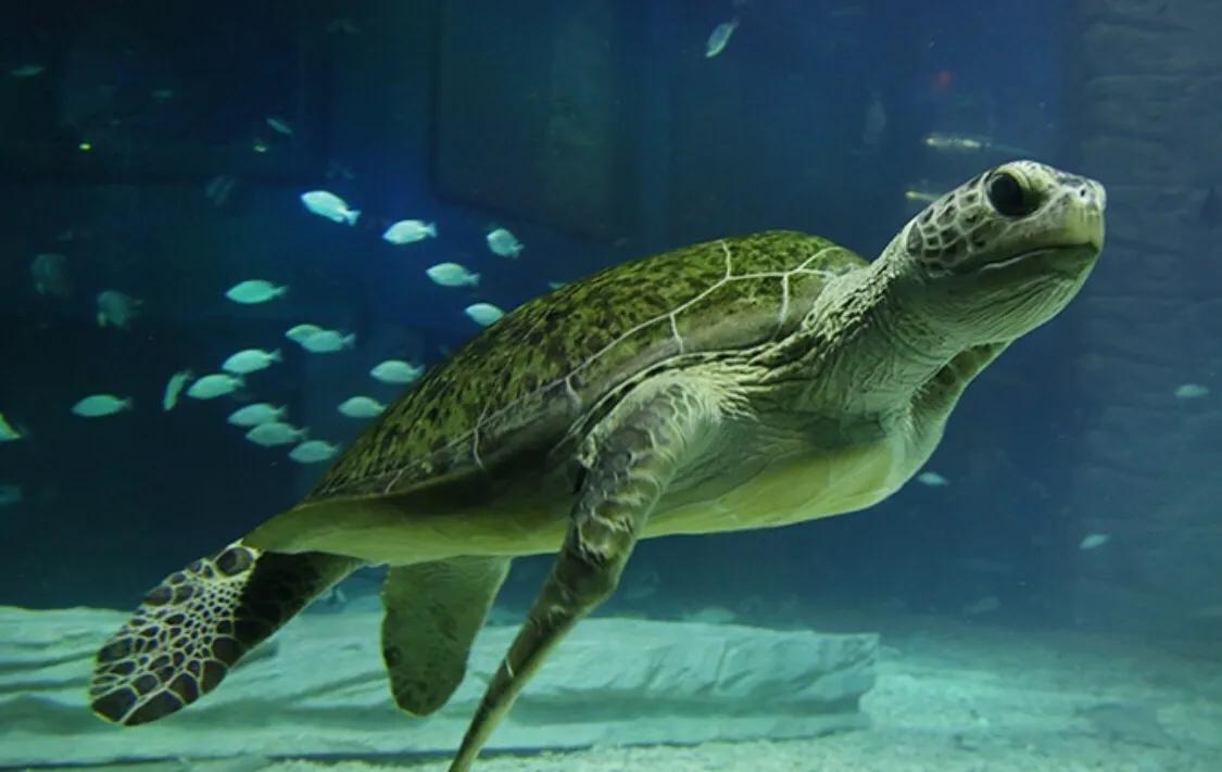 广州一号地铁沿线游玩,广州三号地铁沿线有啥好玩地方