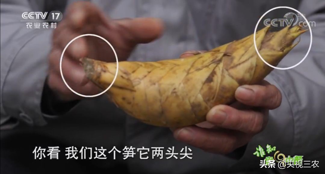 冬笋炒腊肉怎么处理去除涩味,湖南腊肉冬笋怎么做才不会有涩味