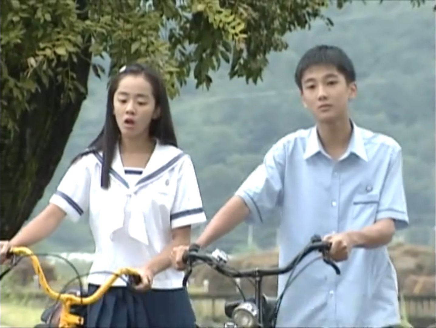 蓝色生死恋尹芯爱回国 (蓝色生死恋尹芯爱深度解析)