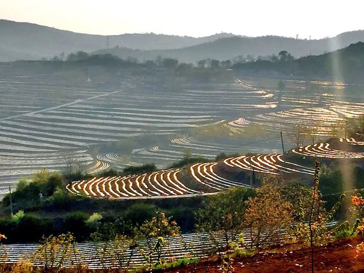 被称为上帝的指纹的图形,上帝的指纹景区