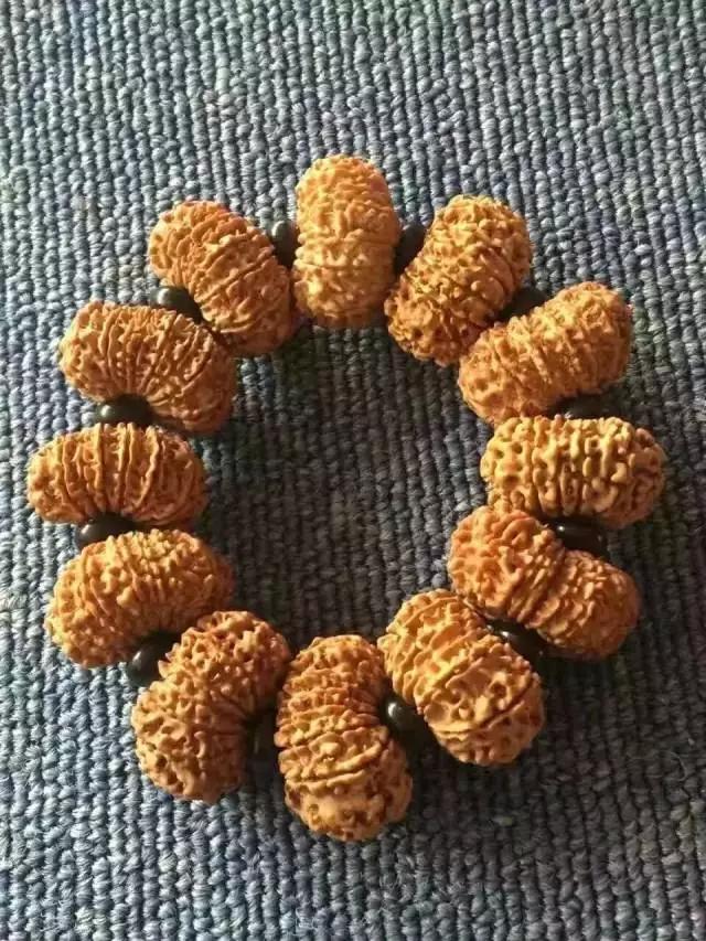 小金刚菩提子纹路图解大全,金刚菩提脖串什么纹路的好