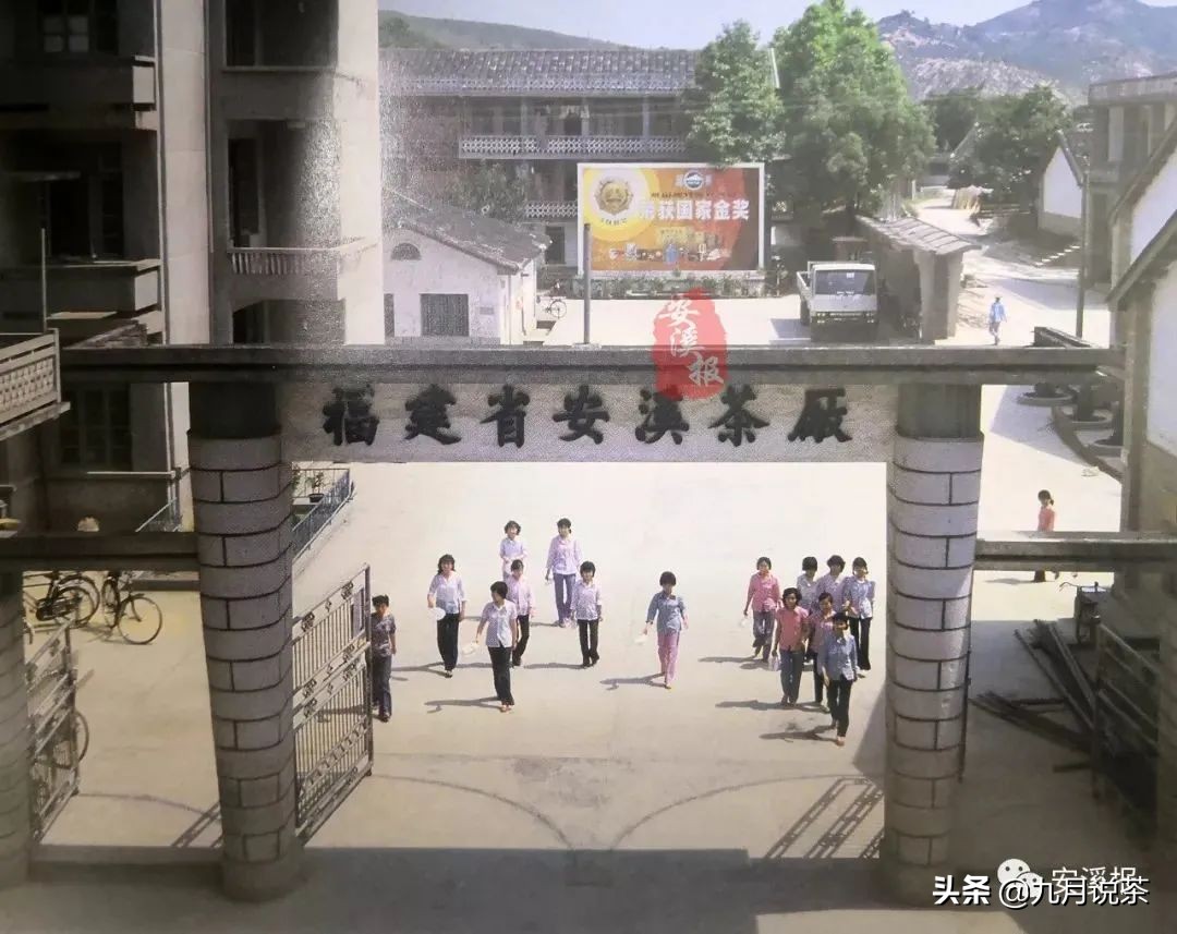 今日说茶的故事,今日说茶全部视频