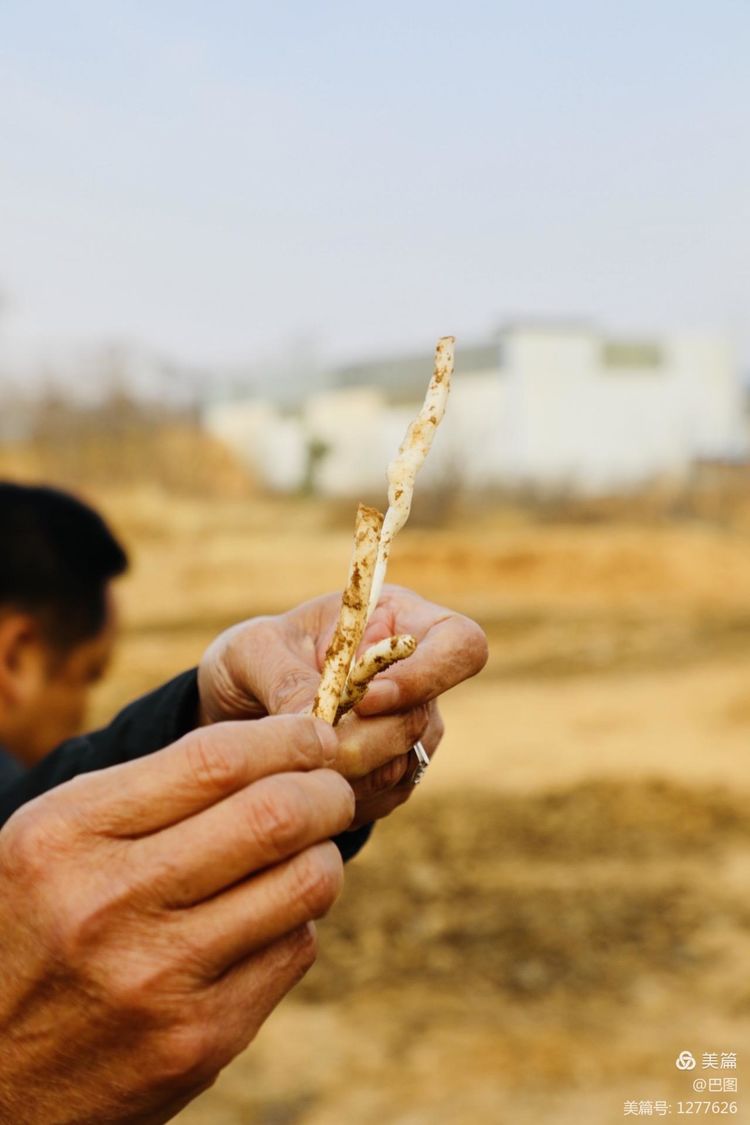 中华诗词之乡，遍地是历史*物文**，洛阳市偃师市山化镇游记