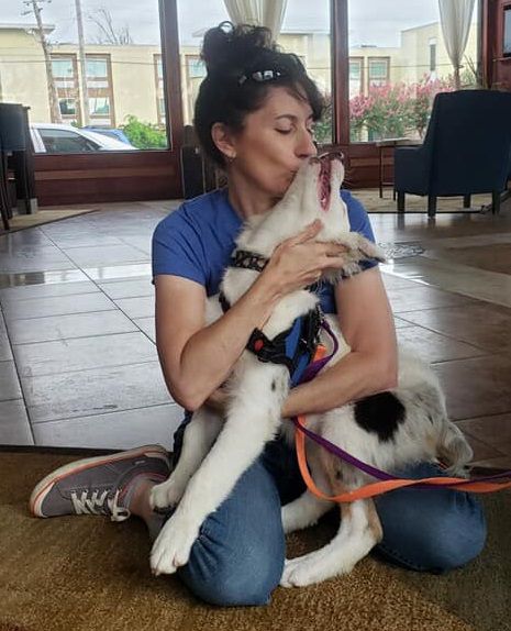 养一只幼年的小狗它会孤独吗,养一只小狗感觉小狗太孤独了