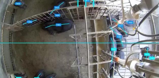 人脸识别是识别五官还是皮肤,人脸识别猪鼻子