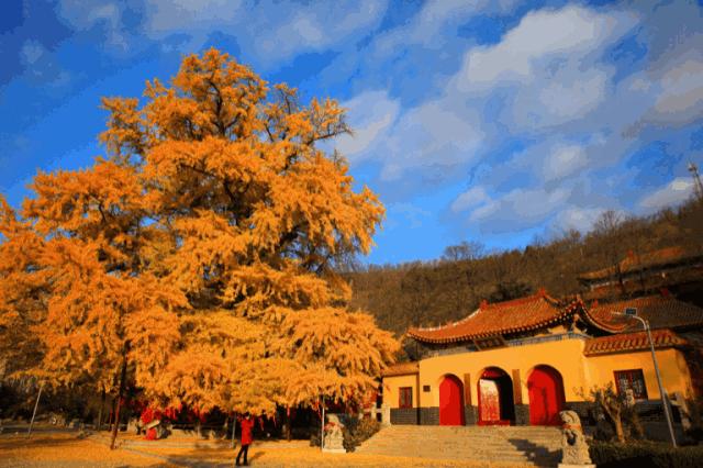 来淄博要做的十件事,来潍坊需要什么