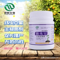 线虫侵袭作物，影响产品品质和产量，关于根结线虫，你了解多少？