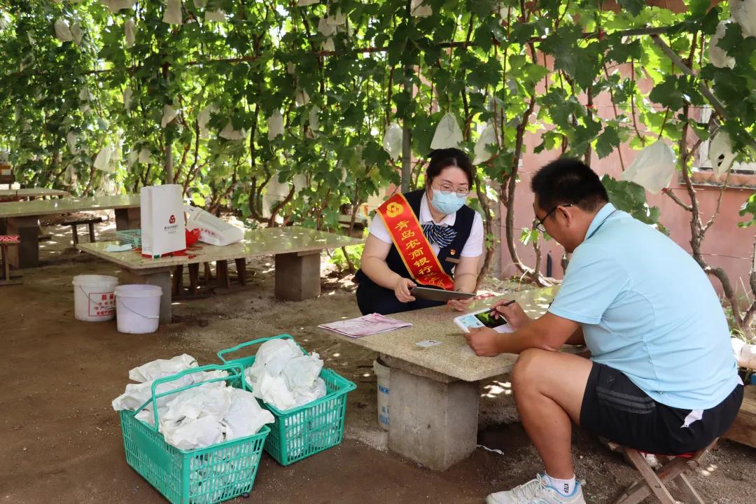 青岛农商银行青岛活动,青岛银行青岛农商行