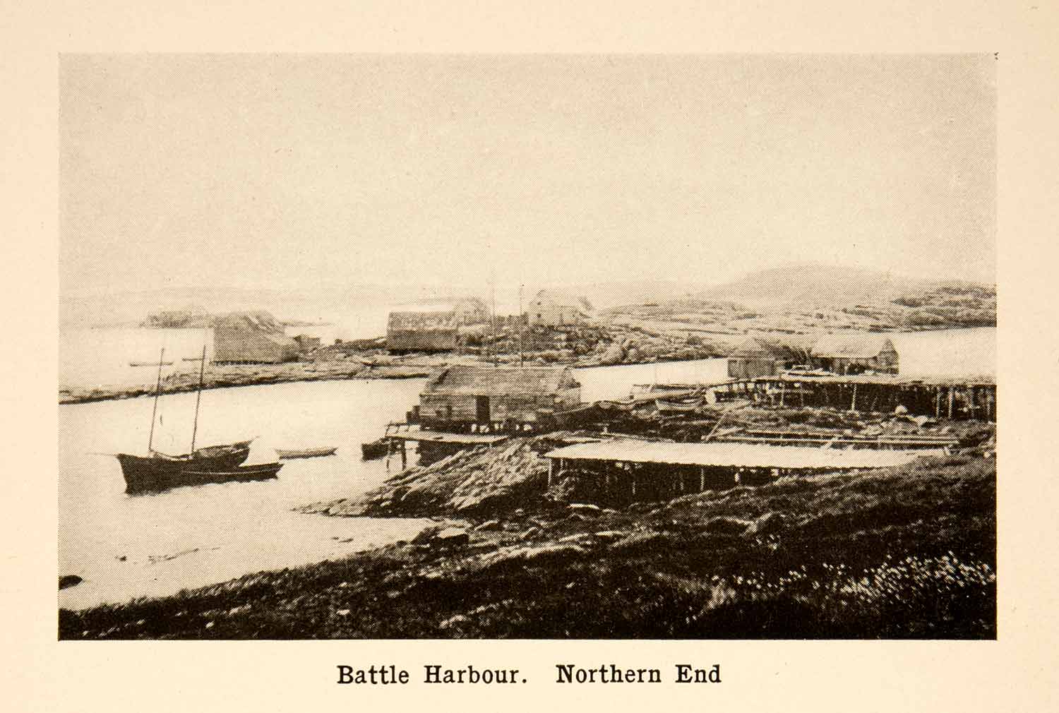 鳕鱼进化史,来看看鳕鱼的进化史吧