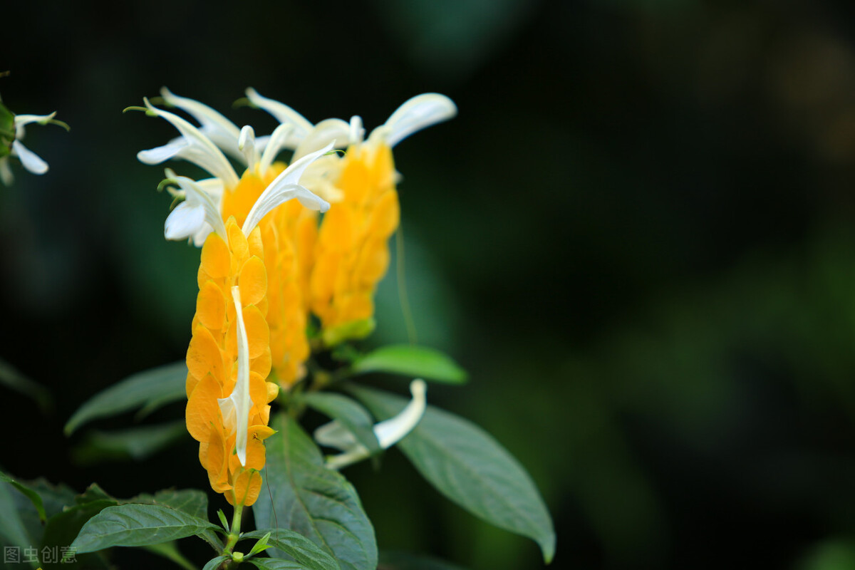 当金牛座惹我生气时我该怎么办,金牛座不想跟你继续相处的表现