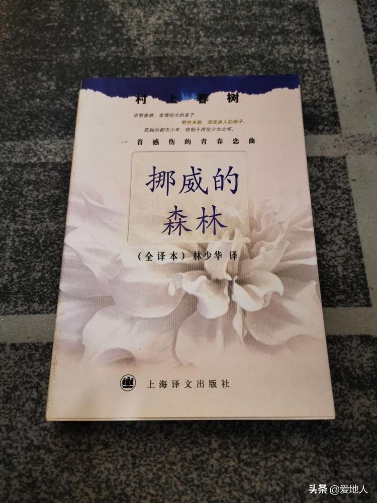 想见你lastdance钢琴版,想见你lastdance男生版