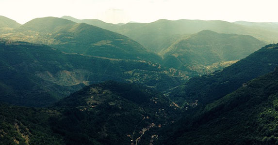 小说：我相貌丑陋却被英俊男子求婚，成亲后被逼喝药才知他目的