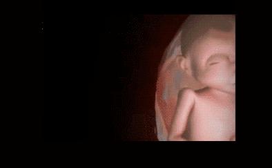 胎儿在妈妈肚子里干什么图片,胎儿在妈妈肚子里的位置变化