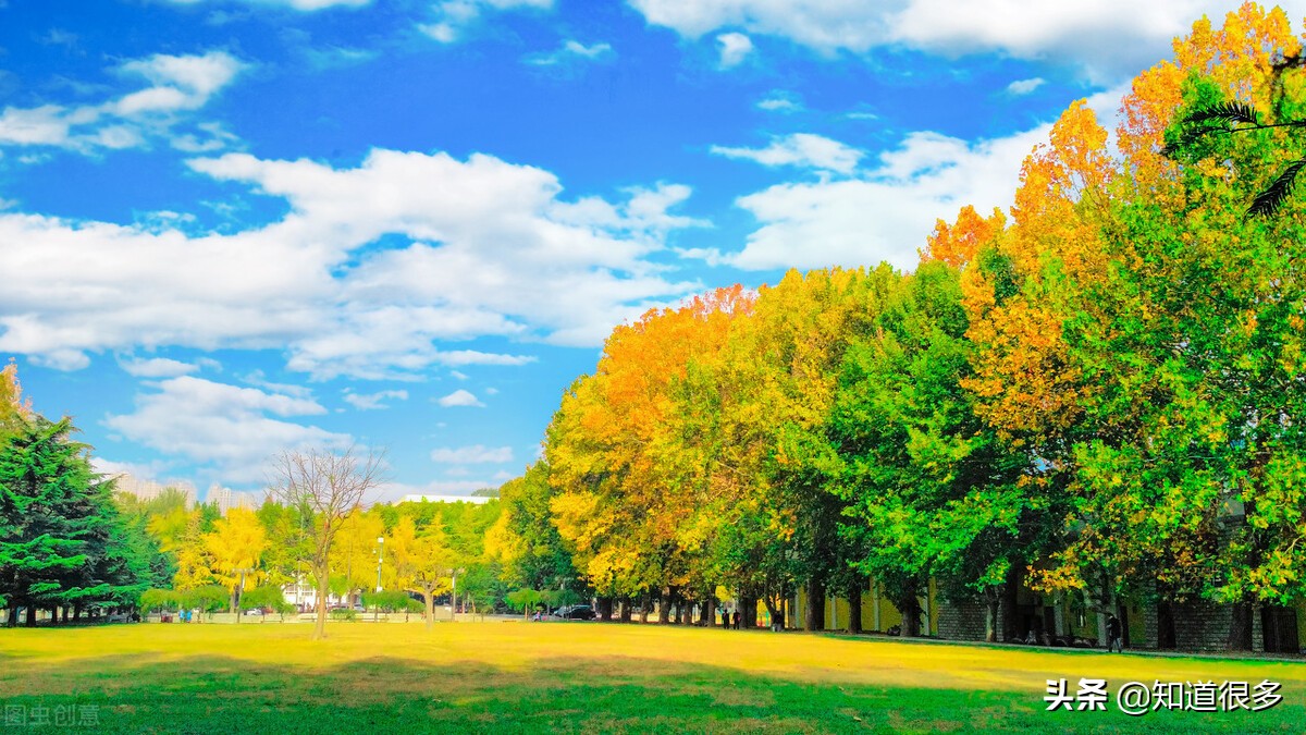 大连的一流大学,大连哪几所高校最好