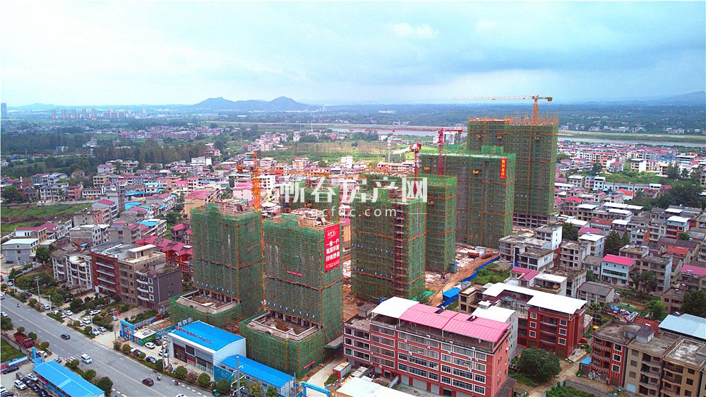 花郡玫瑰园1月份最新工程进度,工程进度洋房已封顶