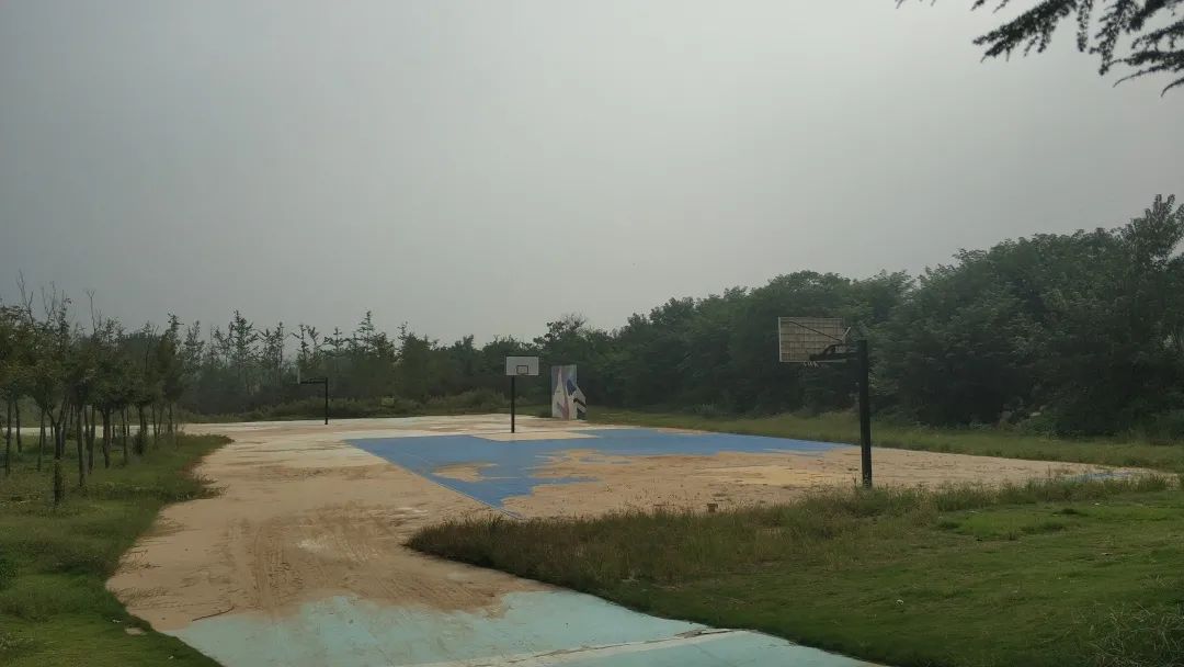 建业足球小镇怎么样了,郑州建业足球小镇恢复了么