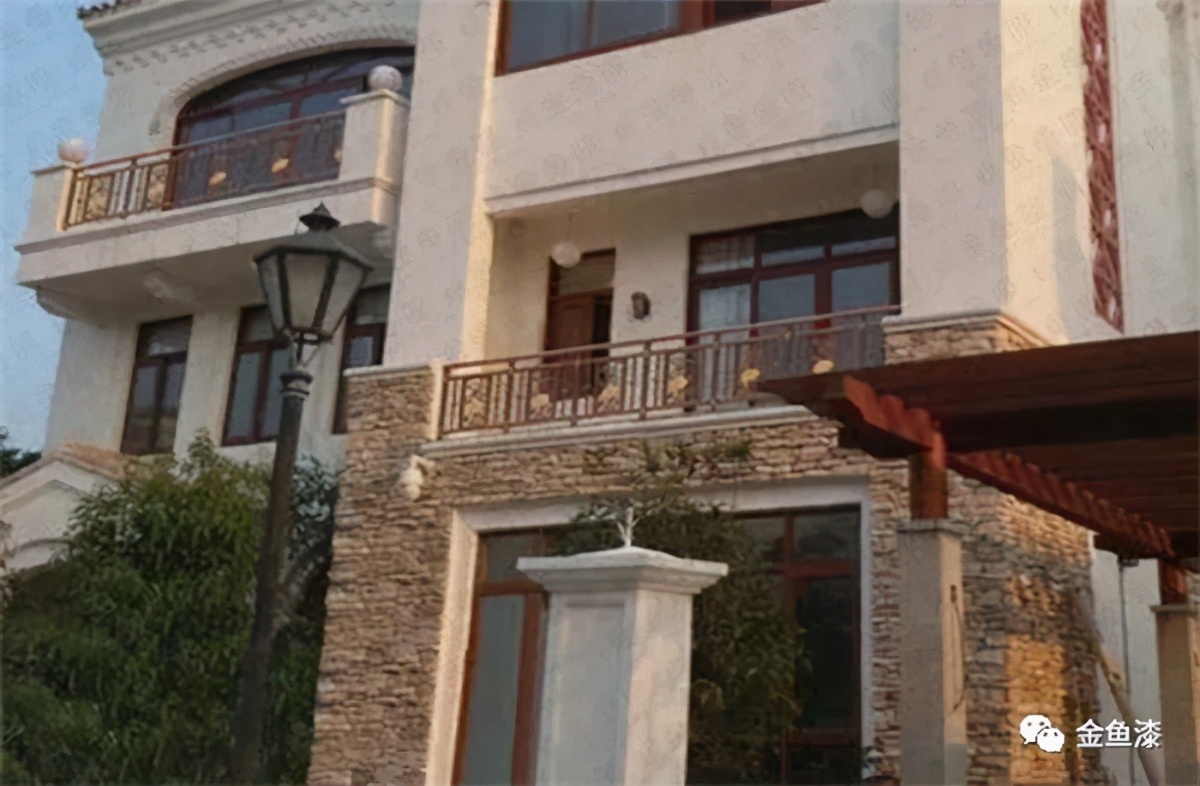 金鱼涂料介绍,金鱼漆外墙仿石漆