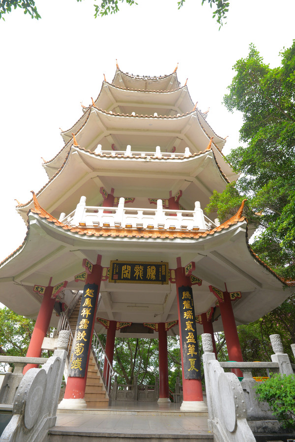 湿地公园菊展在哪,中山菊展一日游