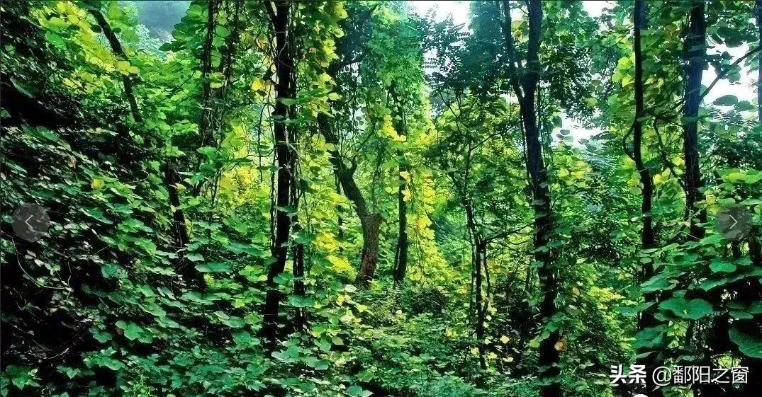 河北有了这些均温不足20℃的空调山，再热情的“烤验”也挡得住