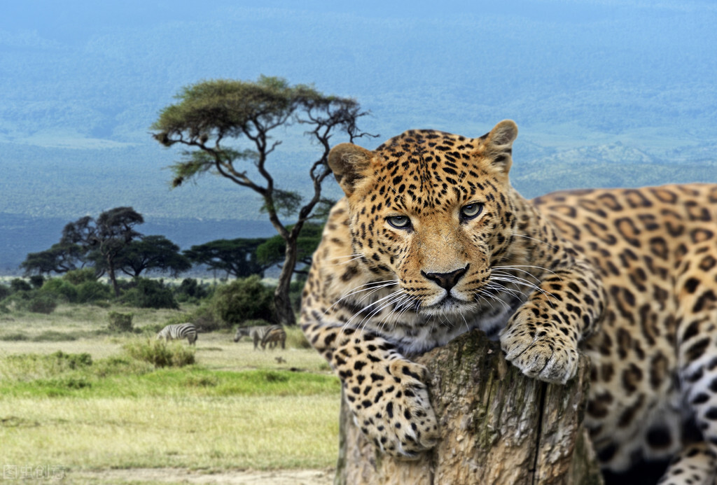 十大宝藏国家,世界上还有什么宝藏国家