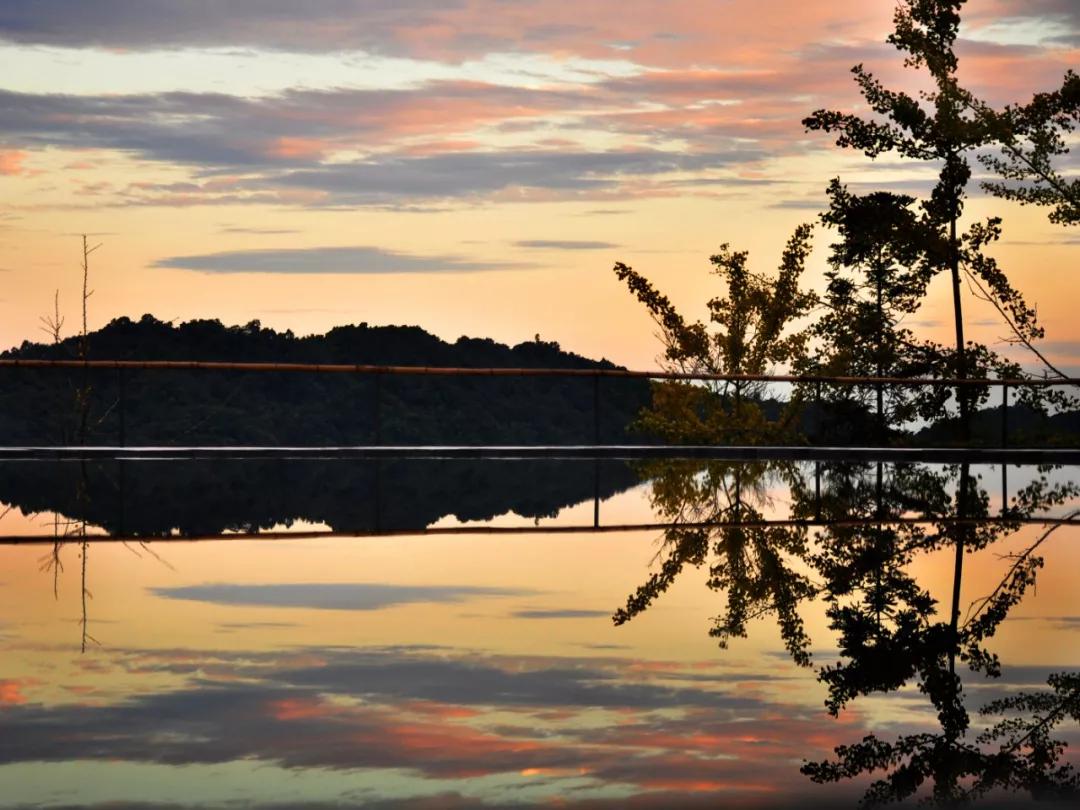 去了青城山才知道的宝藏民宿,青城山避暑农家小院