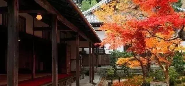 风水庭院景观设计,私家庭院景观风水设计