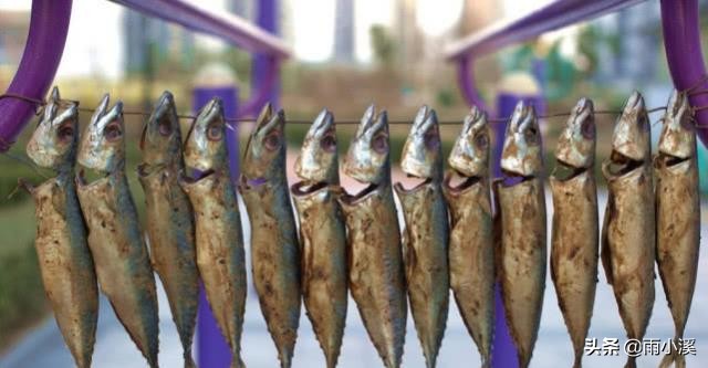 俄罗斯喝酒的下酒菜,俄罗斯人最爱喝的酒是什么