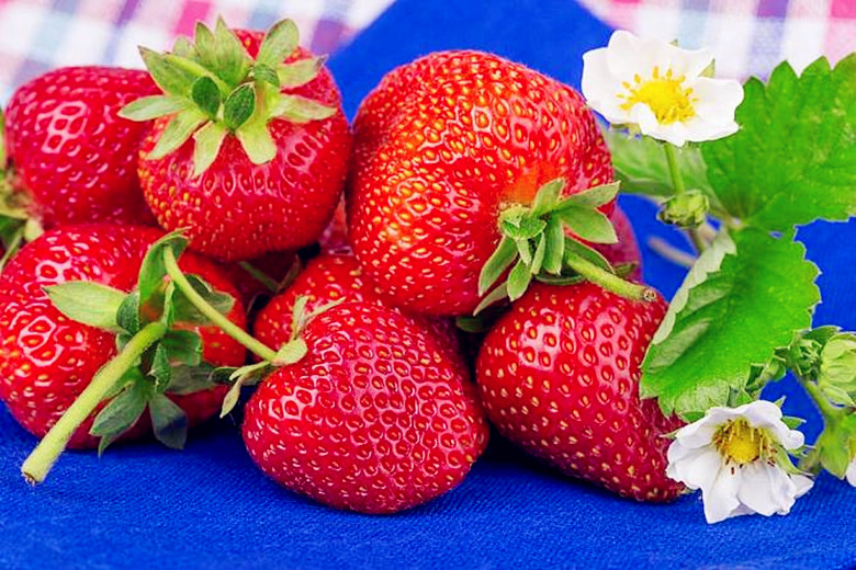 冰冻冬天可以吃的水果,最适合冻起来吃的几款水果